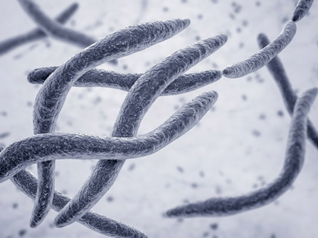 Children with Crohn’s Have Distinct Gut Bacteria from Kids with Other Digestive Disorders